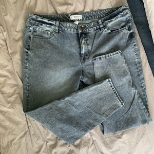 Lane Bryant high-rise ultimate stretch skinny Jean